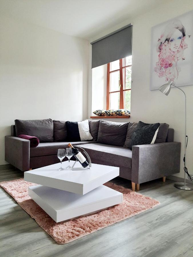 Apartman Spalovka Nový Bor エクステリア 写真